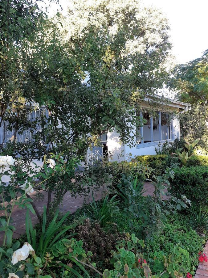 Driftwood Boutique Bed And Breakfast Lobatse Zewnętrze zdjęcie