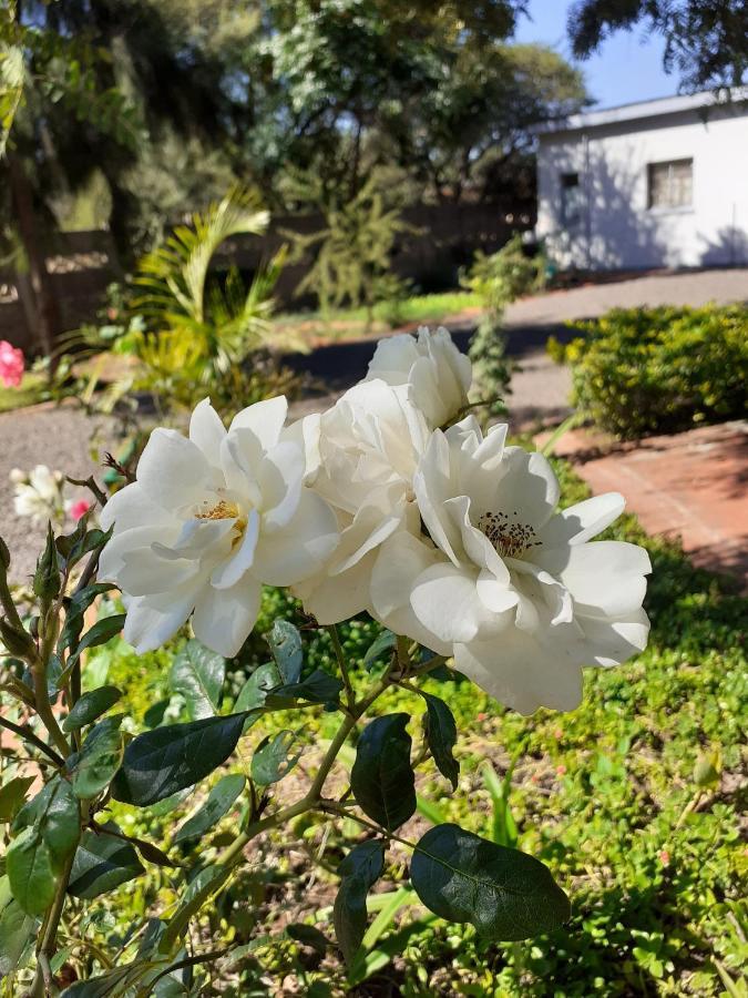 Driftwood Boutique Bed And Breakfast Lobatse Zewnętrze zdjęcie